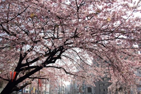 450b1cb82d512f5d4dc74f9eb7f850cf_s