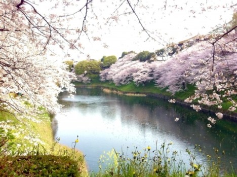 a00d50f0c52106c915322355e9660eb8_s