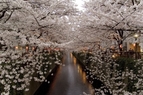 a9a4ec6cc6e12f80664fb5b700e7b9ea_s