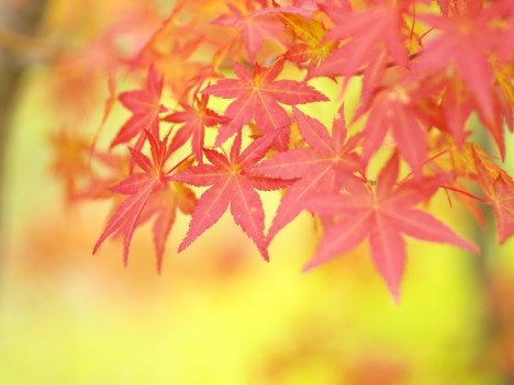 67e1ff1a49831bb115827e849c13b7ad_s