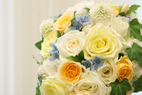 f7b7f924f12adf22ec33b291a29ea1ae_s